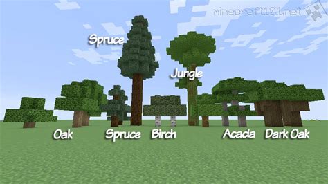 Trees In Minecraft Minecraft 101