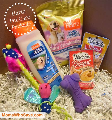 BabbleBoxx Pet Care Package — Ideas For Spoiling Your Furry Family Members