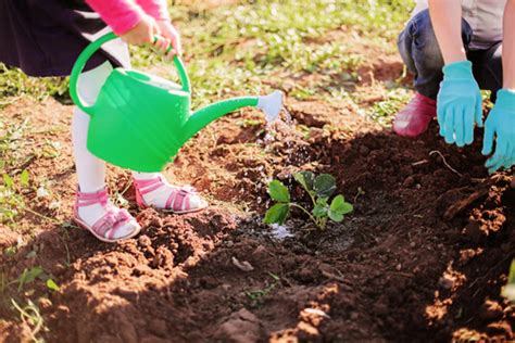 Gardening With The Kids Play Explore Learn Grow
