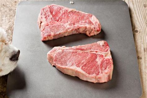 However, there's a lot of misinformation out there about feeding a this can be confusing and discouraging for dog owners looking to do the right thing for their dogs. What is the Best Diet for Dogs? Types of Dog Food