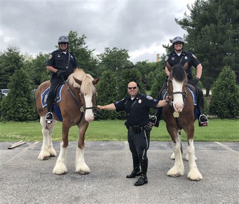 City of Providence Mounted Command - City of Providence