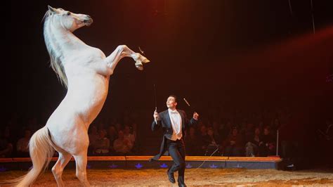 Zirkus Knie Räumt Mehrere Preise An Zirkusfestival In Monte Carlo Ab