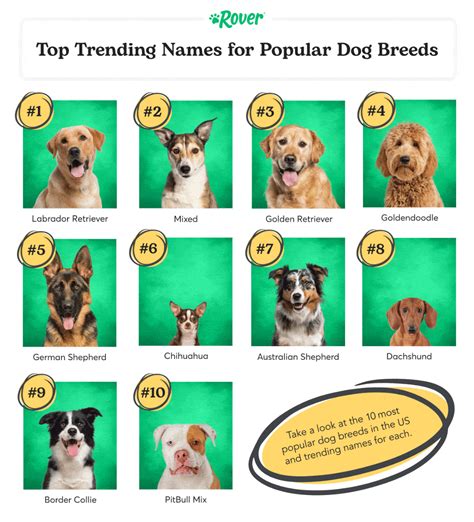 All Types Of Dogs With Names