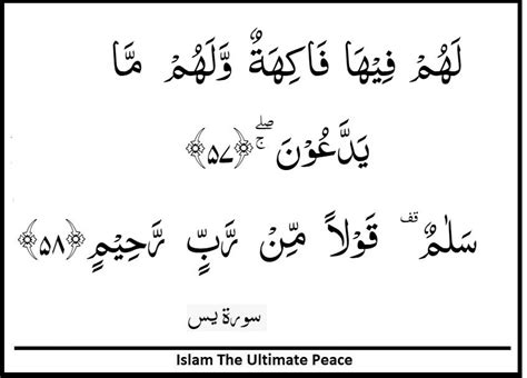 Sebelumnya kita sudah membahas teks bacaan surat an nisa ayat 59 juga yang dilengkapi dengan terjemah dalam bahasa indonesia dan bahasa inggris lengkap dengan isi kandungan pada ayat tersebut. Judyjsthoughts: Yaseen Bacaan Surat Yasin Arab