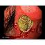 Endoscopy Of Gastric Ulcer  YouTube