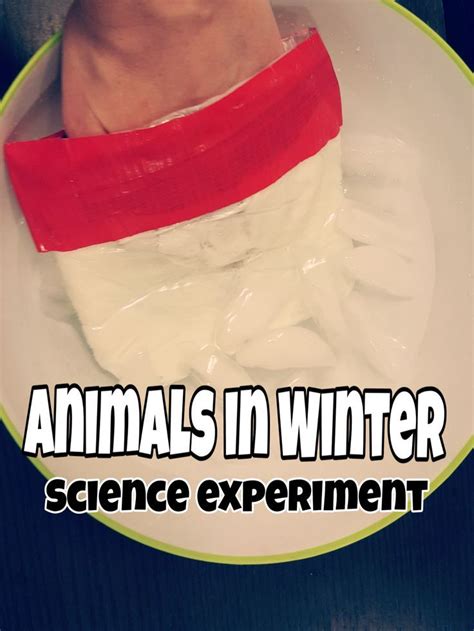 Hands On Science Experiments For Kids About Animal Adaptations Artofit