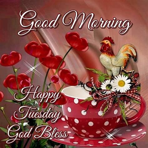 #good morning tuesday #enjoy today. Tuesday Pictures, Images, Graphics for Facebook, Whatsapp ...