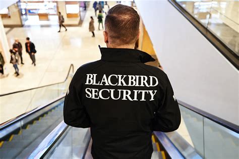 Tracktik Automation Blackbird Securitys Efficiency Unleashed Tracktik
