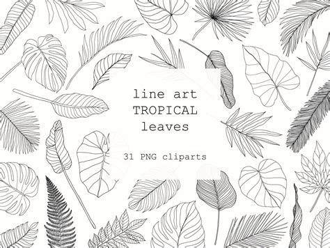 Leaf Drawing Drawing Set Flower Drawing Leaf Outline Outline Art