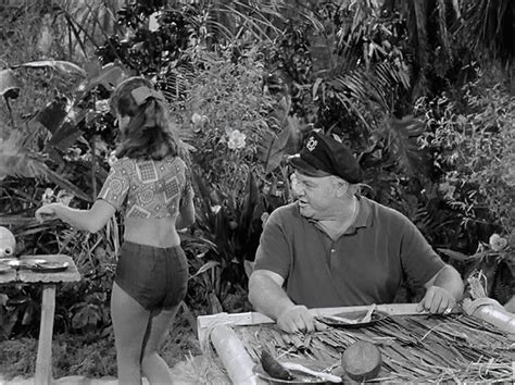 This Colossal Metablog Features Mary Ann And Ginger Of Gilligan’s Island Fame Description From