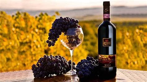 Undiscovered Fine Italian Wine