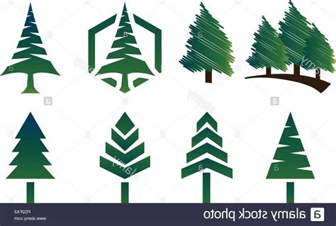 Pine Tree Logo Vector At Collection Of Pine Tree Logo