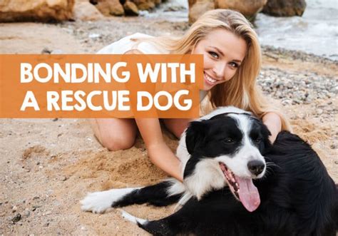 How To Bond With Your Rescue Dog In 7 Simple Steps