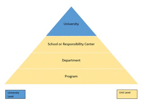 Policy Hierarchy Office Of Policy Development And Management