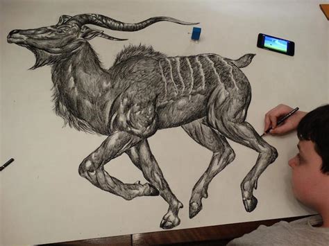 See more ideas about medieval art, medieval manuscript, bestiary. 15-Year-Old Child Prodigy Creates Incredible Animal Drawings