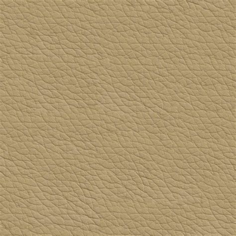 Beige Leather Pbr Texture By Cgaxis