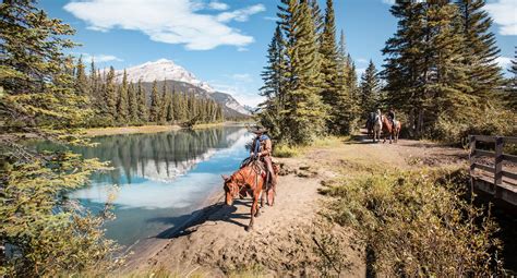 Horseback Riding In Banff And Lake Louise Banff And Lake Louise Tourism