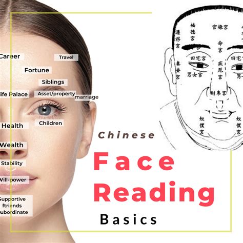 Chinese Face Reading Basics Artofit