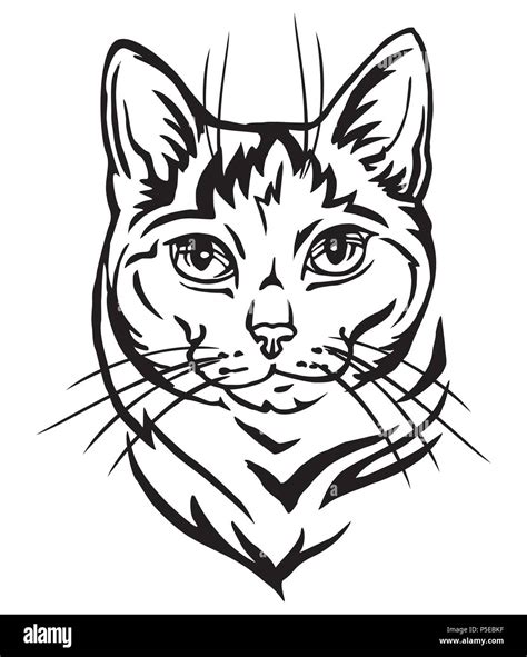 Decorative Portrait In Profile Of Mongrel Cat Vector Isolated