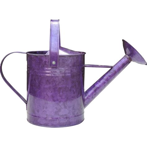 Griffith Creek Designs 15 Gallon Metal Watering Can And Reviews Wayfair