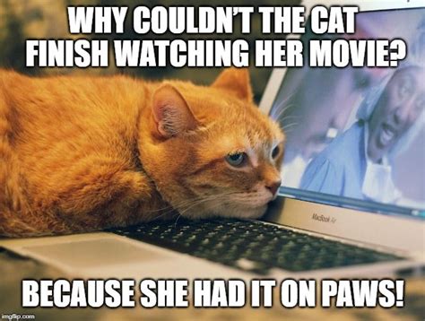 Cat Paws Pun Cat Puns Cat Movie Cat Paws