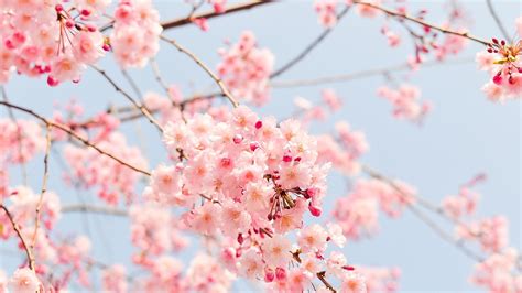 The Best Spring Photos On Instagram Alc