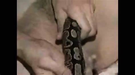 Naked Girl Fisting In A Naked Girl Pussy And A Nother Girl Puts A Snake Inside Hor Deep Pussy