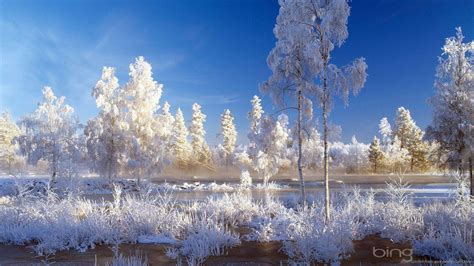 Winter Landscape Wallpapers Wallpaper Cave