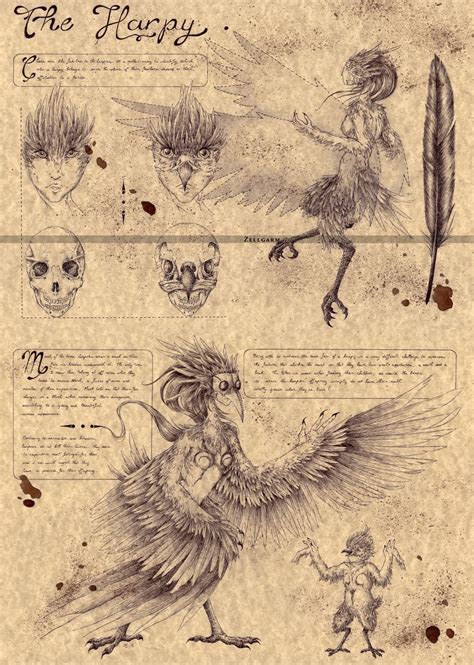 The Harpy Mystical Creatures Mythology Mythical Monsters Mythical
