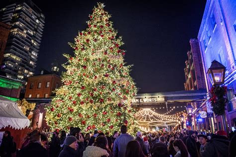 Toronto Christmas Market Tree Unveiling