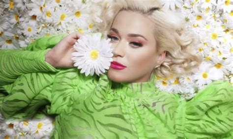Katy Perry Daisies Lyrics Smile Album The West News