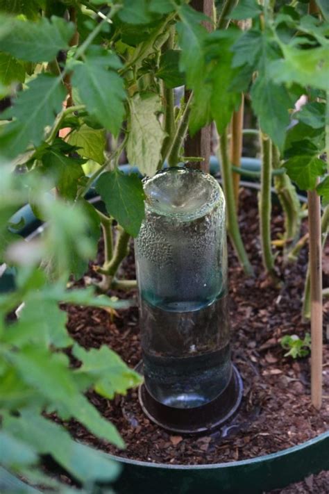 17 Cheap And Easy Diy Self Watering Ideas For Your Garden