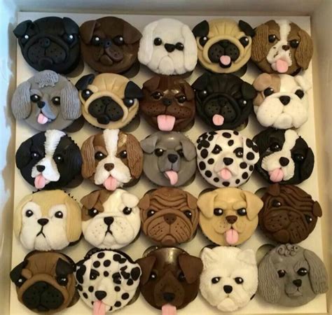 Und nun machen wir uns ans backen. Muffinky | Kuchen für hunde, Hund cupcakes, Hunde torte