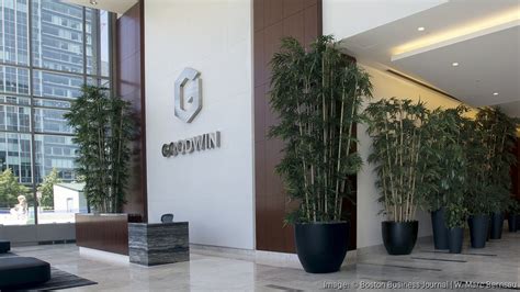 Goodwin Procter Implemented Its Colleague Connect System Not Everyone