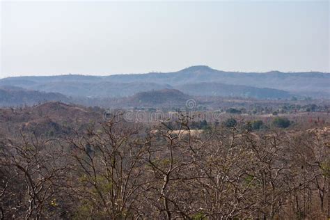 Vindyachal Mountain Ranges And Dry Deciduous Forest Of Mhow District