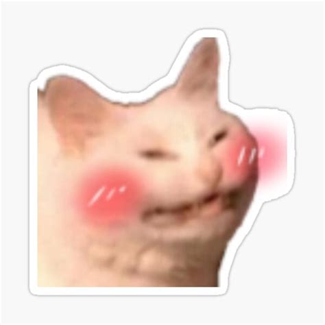 Flowingflaminggo Perfect Discord Cat Emote 12 Designs You Must Know