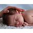 Cute Newborn Baby PicturesNewborn Babies Natural Care