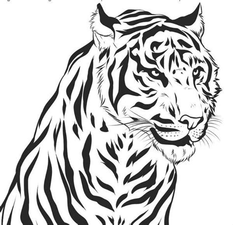 Dibujos Para Colorear De Tigres Faciles Dibujos Para Colorear