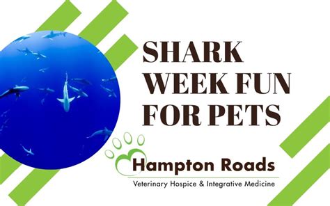 Shark Week Fun For Pets Hampton Roads Veterinary Hospice