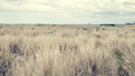 Free Images Landscape Nature Sand Horizon Marsh Wilderness