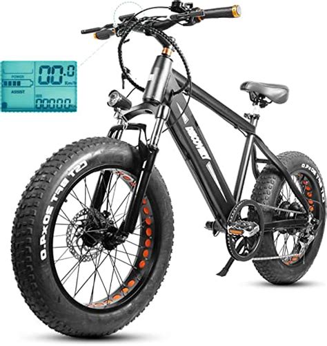Adult Electric Bicycles 0 300 Electric Bicycles