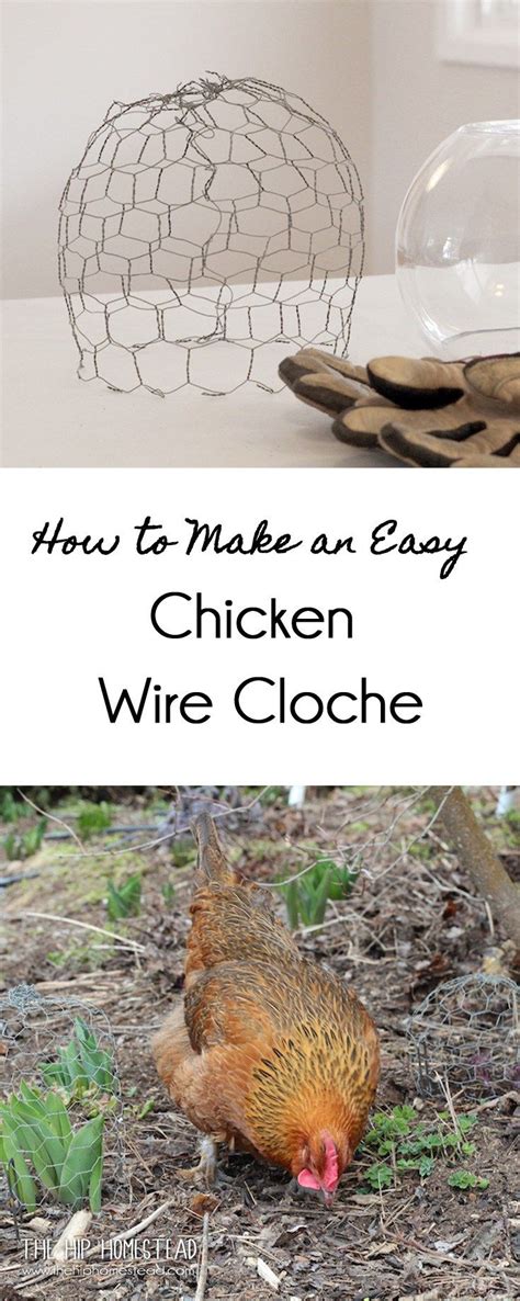 How To Make An Easy Chicken Wire Cloche The Hip Homestead Organic