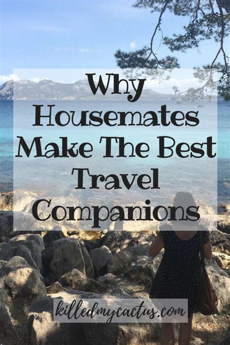 Why Housemates Make The Best Travel Companions Travel Companion Travel Friends Travel