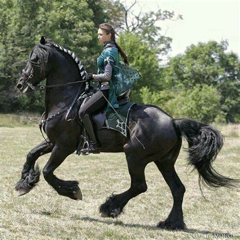 Beautiful Medieval Horse And Rider All The Pretty Horses Beautiful