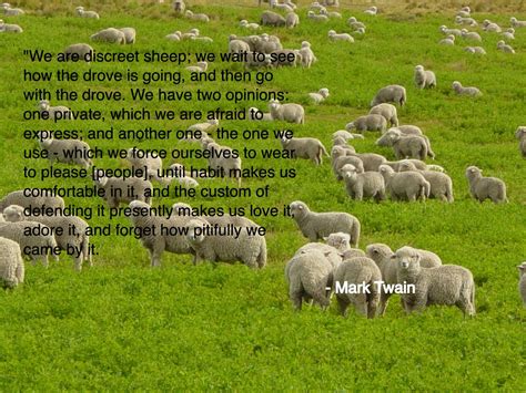 Sheep Quotes Quotesgram