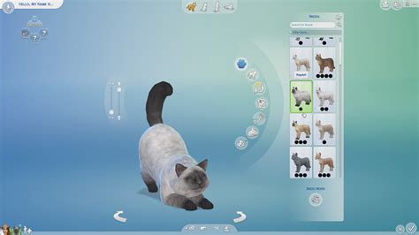 The Sims 4 Custom Traits Pets Patch Bapbrick