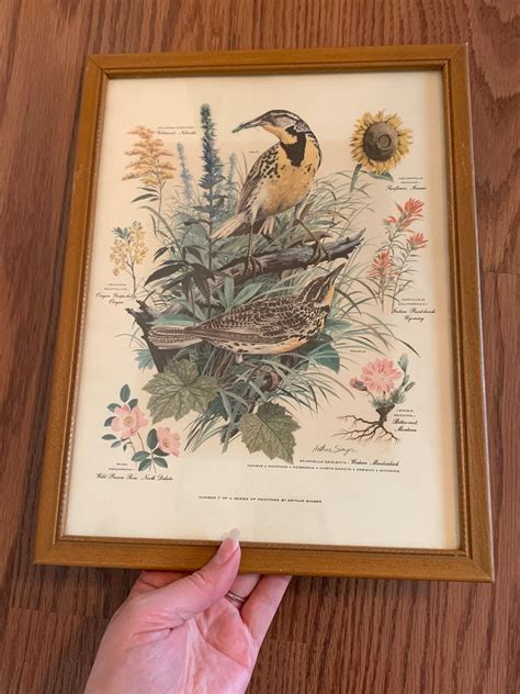 Vintage Arthur Singer Bird Prints Foliage Framed Western Etsy
