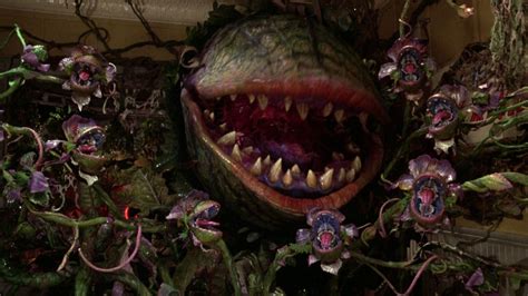 Little Shop Of Horrors Wallpapers Wallpaper Cave