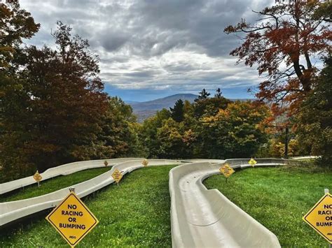 Bromley Alpine Slide 2023 Guide Alpine Coasters