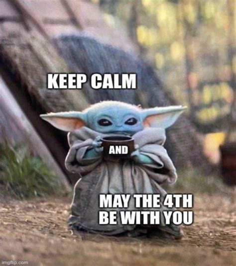 50 may the fourth be with you memes to celebrate star wars day and the revenge of the 5th artofit
